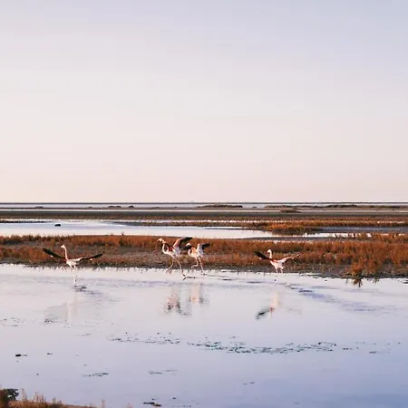 Le Domaine Du Golf*** By Ateya Feriepark 3*