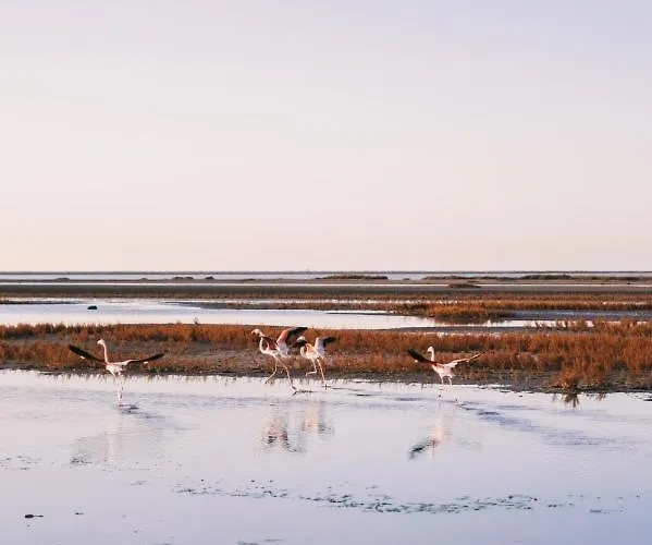 Le Domaine Du Golf*** By Ateya Semesterpark 3*